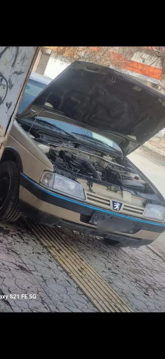 پژو ۴۰۵ بژ|خودرو سواری و وانت|تهران, هروی|دیوار