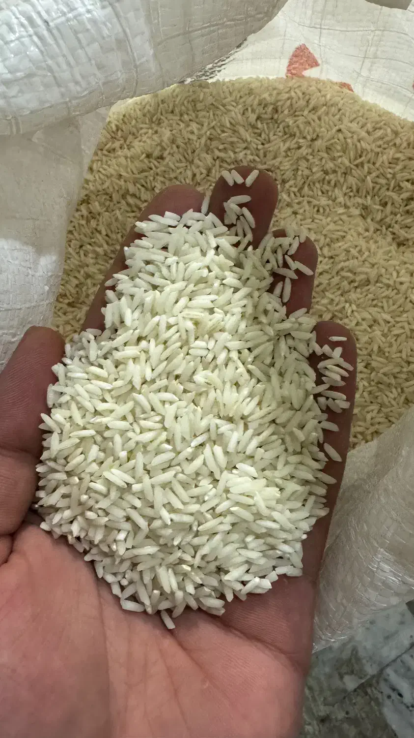 هاشمی طارم|خوردنی و آشامیدنی|آبیک, |دیوار