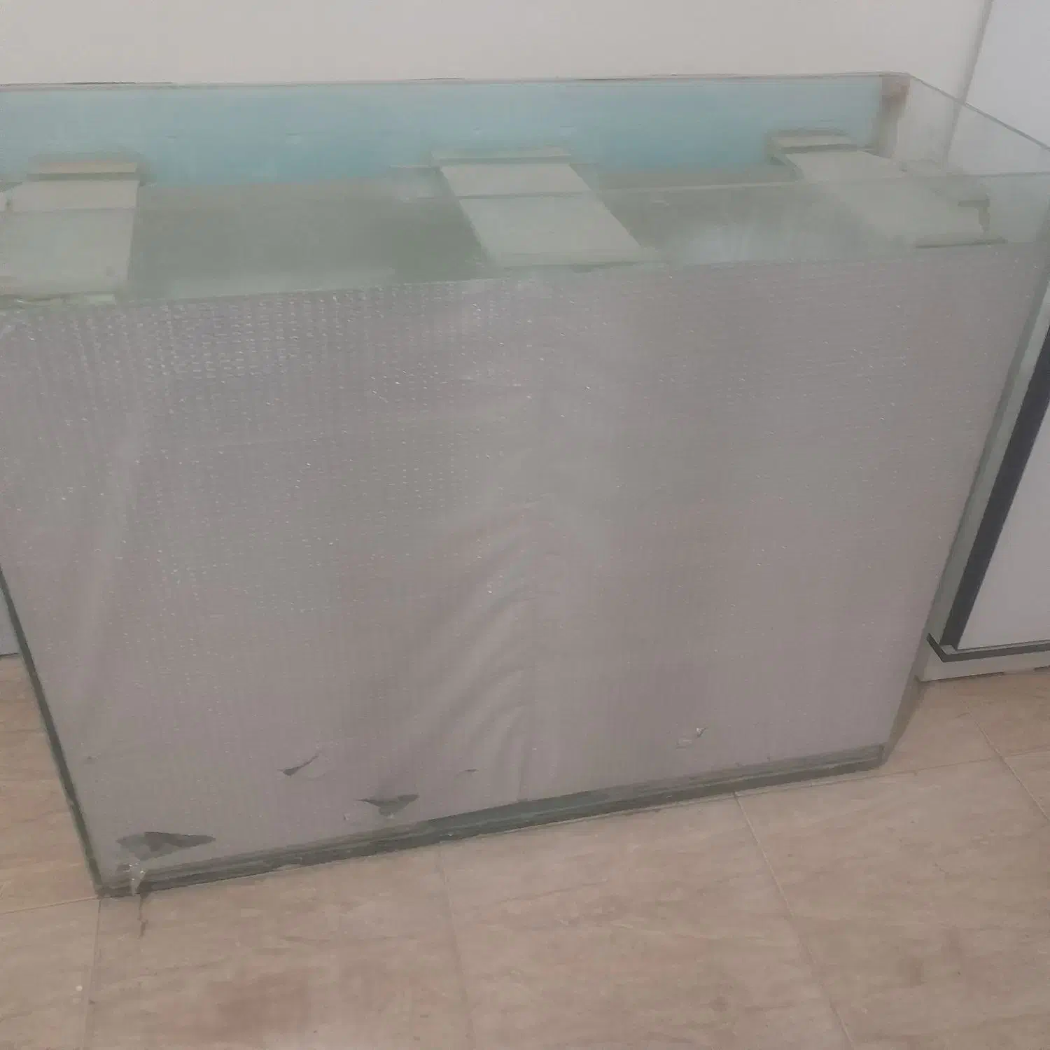 اکواریوم|ماهی|تربت‌حیدریه, پائین ولایت|دیوار