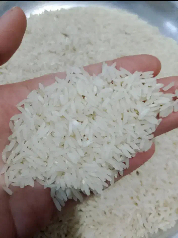 برنج هاشمی درجه یک گیلان|خوردنی و آشامیدنی|تهران, ترمینال غرب|دیوار