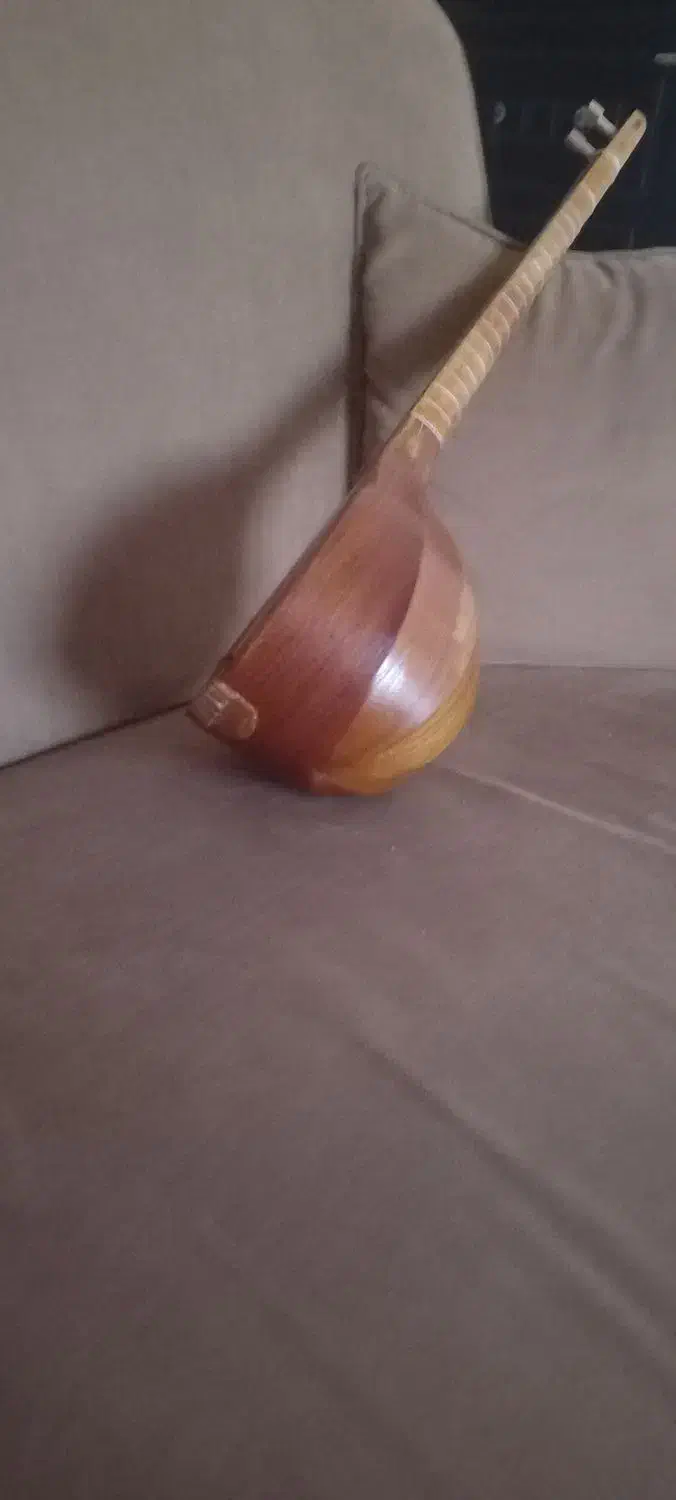ساز سنتی تنبور|سازهای سنتی|هشتگرد, فاز ۱ مهستان|دیوار