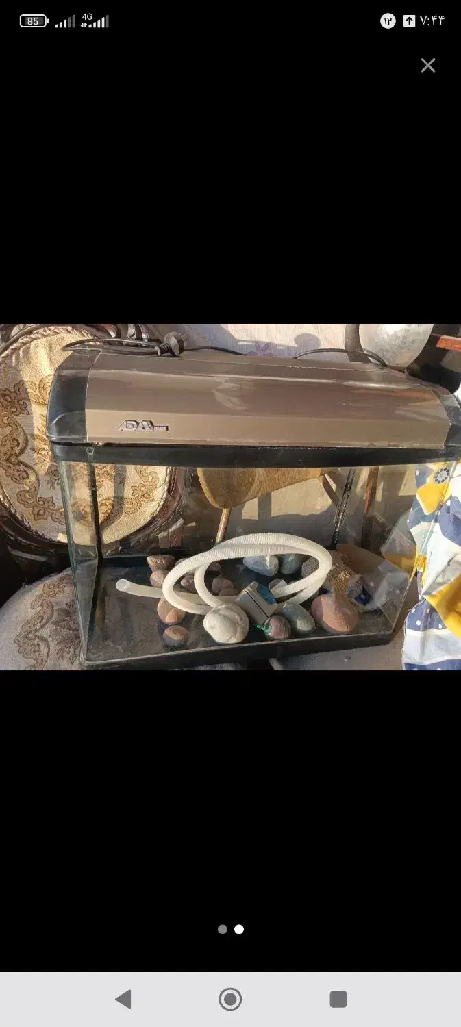 اکواریوم|ماهی|اصفهان, حصه جنوبی|دیوار