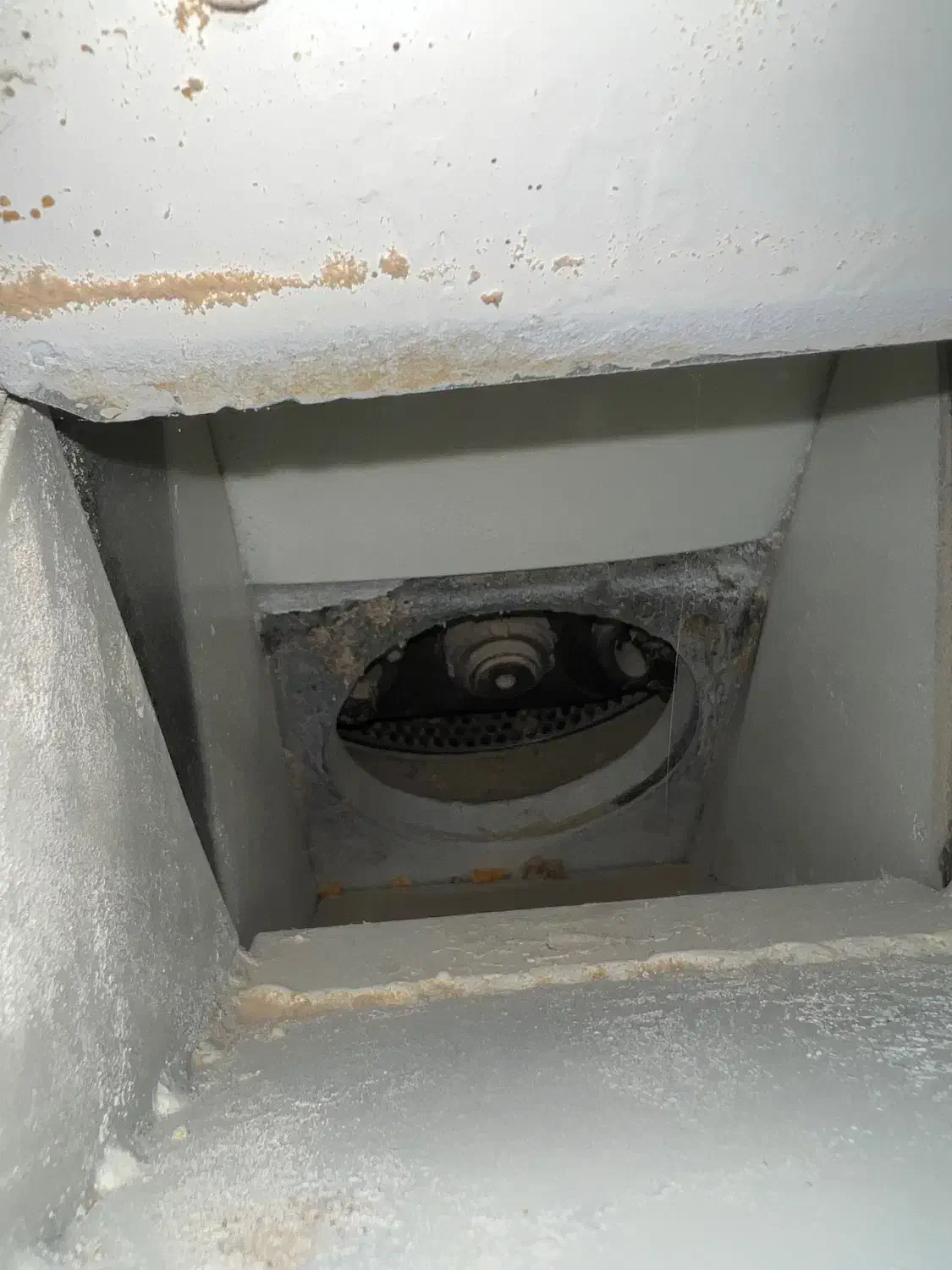 دستگاه پلت|ماشین‌آلات صنعتی|قوچان, |دیوار