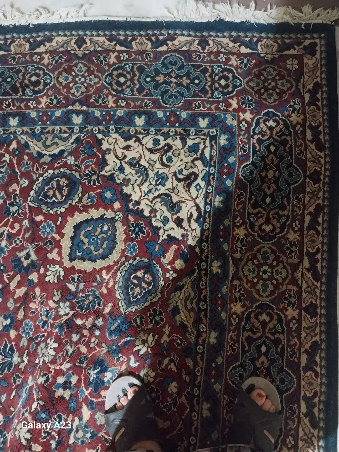 فرش۹متری|فرش|سنندج, |دیوار