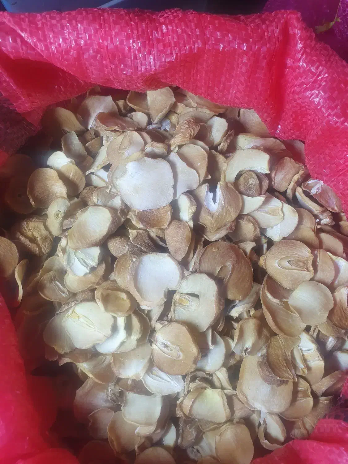 موسیر کوهی خشک|عمدهفروشی|قم, تولید دارو و یخچال|دیوار