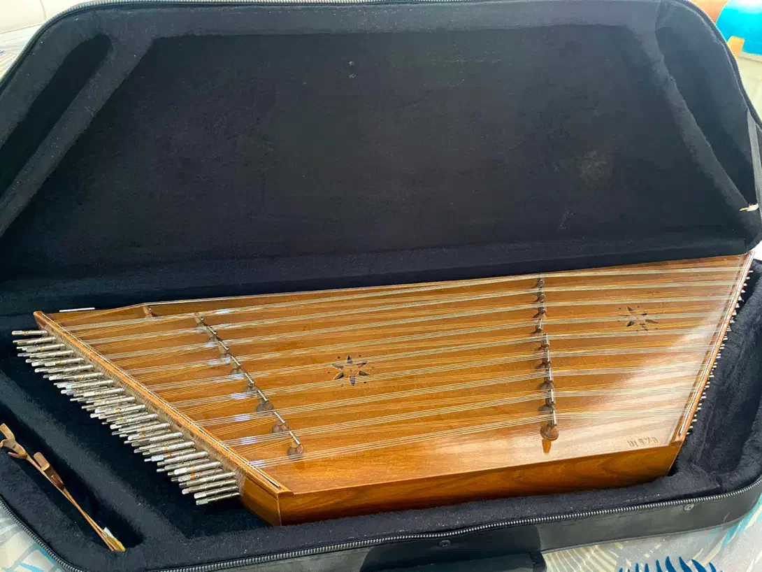 سنتور کاملانو|سازهای سنتی|اردبیل, |دیوار