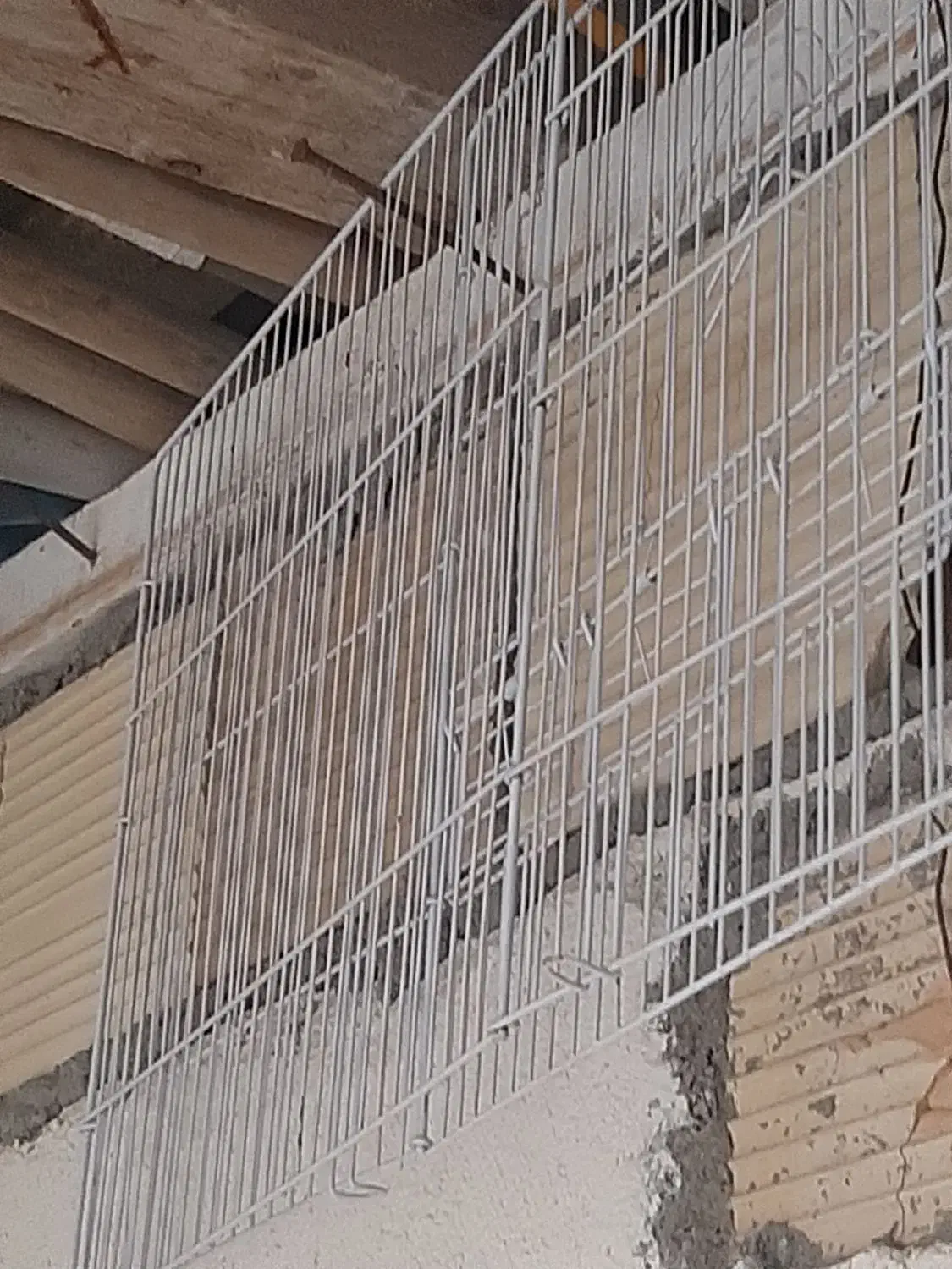 قفس پرنده|لوازم جانبی حیوانات|رشت, پیرکلاچای|دیوار