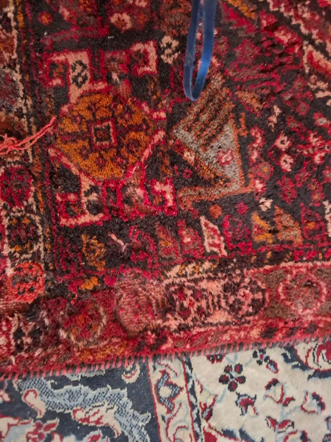 قالی دست باف ۶متری وتمیز مال ۱۰۰سال پیش هست|فرش|شیراز, میانرود|دیوار