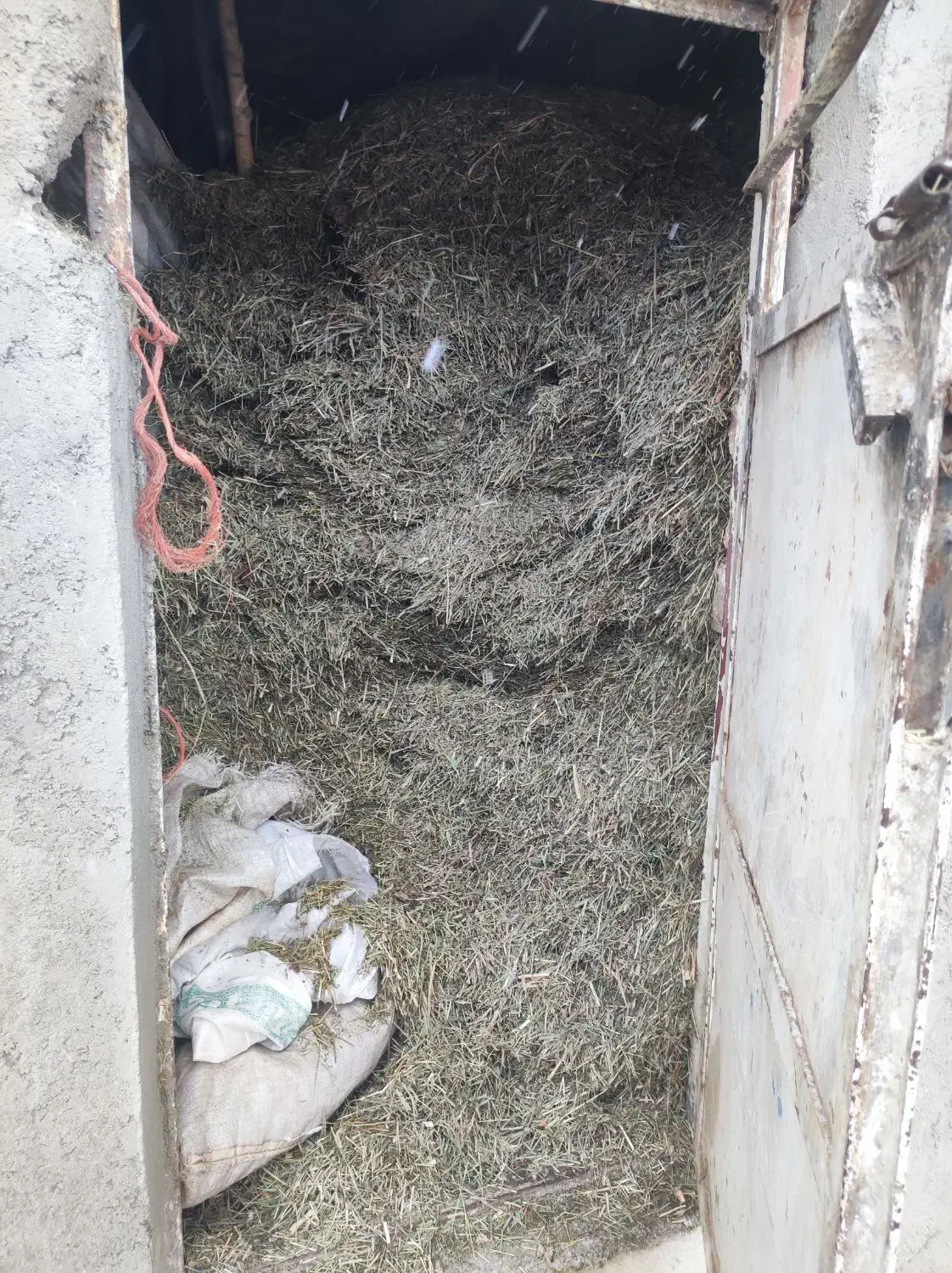 علف خورد شده|لوازم جانبی حیوانات|آوج, |دیوار