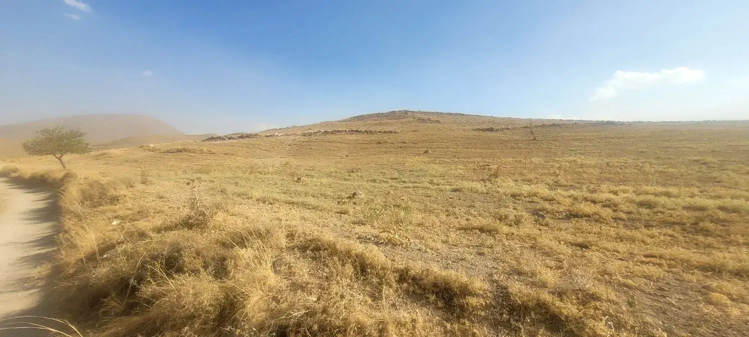 زمین دیمی در کنار جاده کندوان|فروش زمین و ملک کلنگی|اسکو, |دیوار