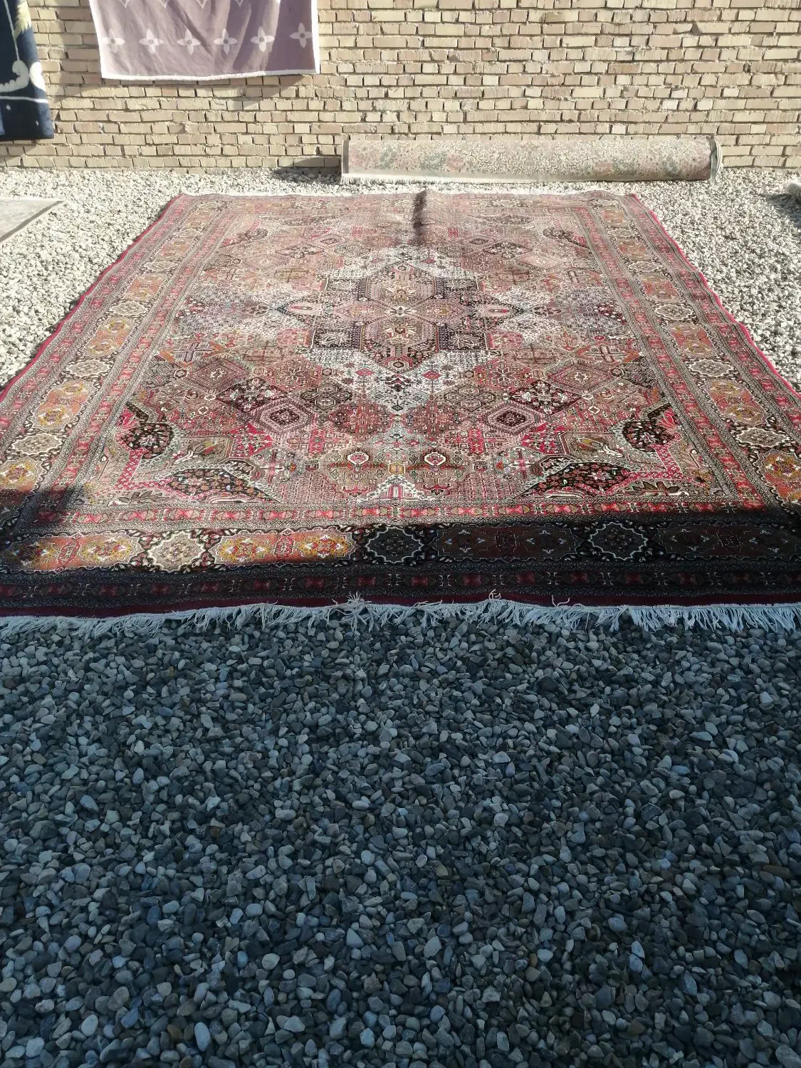 فروش قالی کارکرده|فرش|گنبد کاووس, |دیوار