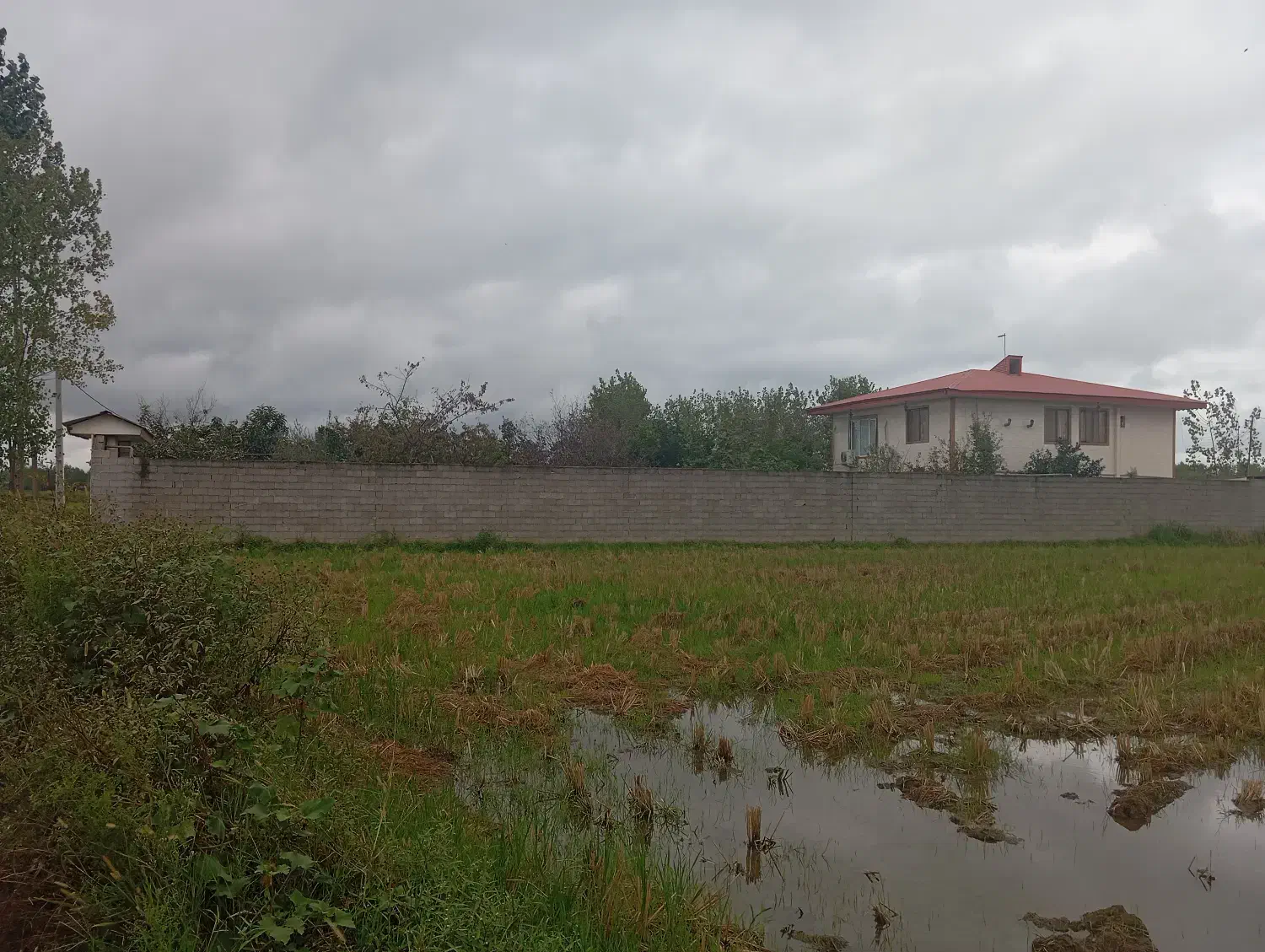 فروش خونه باغ زیبا و بکر|فروش خانه و ویلا|تولم شهر, |دیوار