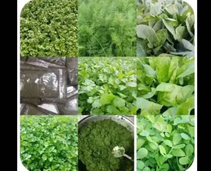 سبزی خورشتی تمیز وخوش طمع|خوردنی و آشامیدنی|رامشیر, |دیوار