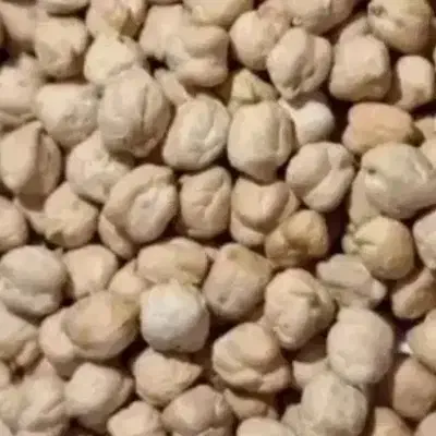 نخد|خوردنی و آشامیدنی|نورآباد, |دیوار
