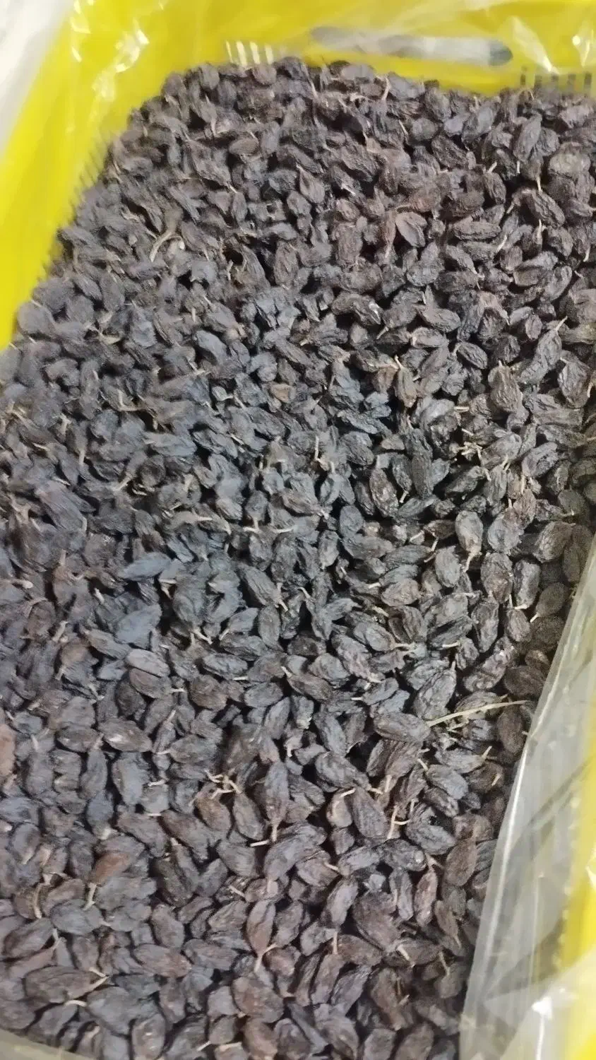 کشمش فخری|خوردنی و آشامیدنی|عجب شیر, |دیوار