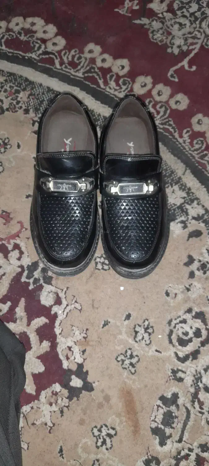 کفش مجلسی نو|کیف، کفش، کمربند|زابل, |دیوار