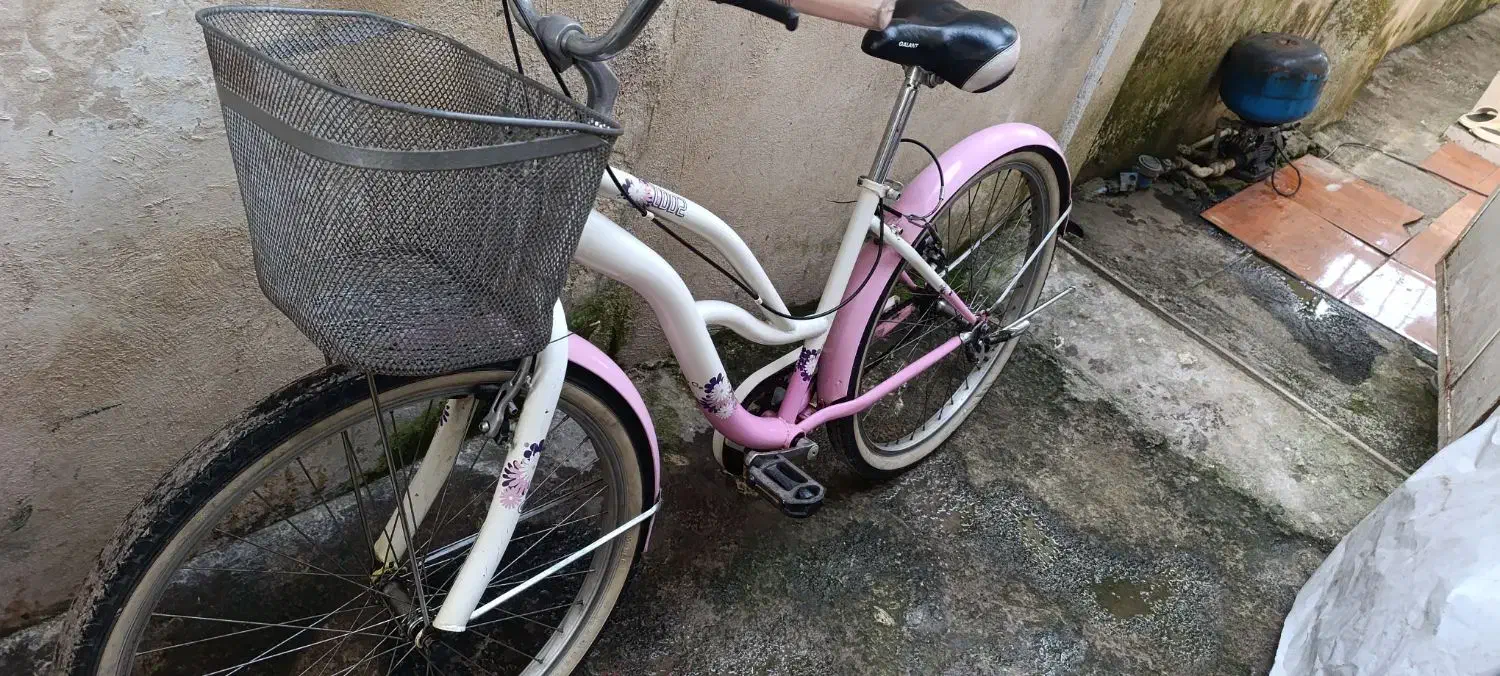 دوچرخه در حد صفر|دوچرخه، اسکیت، اسکوتر|رشت, جانبازان|دیوار