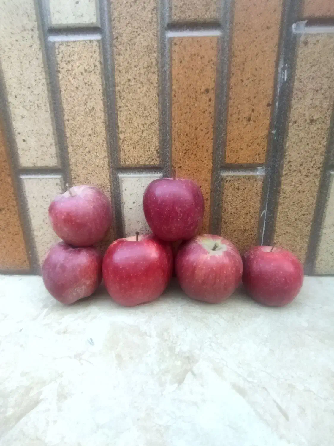بازاریاب خانم در اهواز برای جذب مشتری عراقی (سیب)|استخدام بازاریابی و فروش|اهواز, ۲۰۰۰واحدی|دیوار