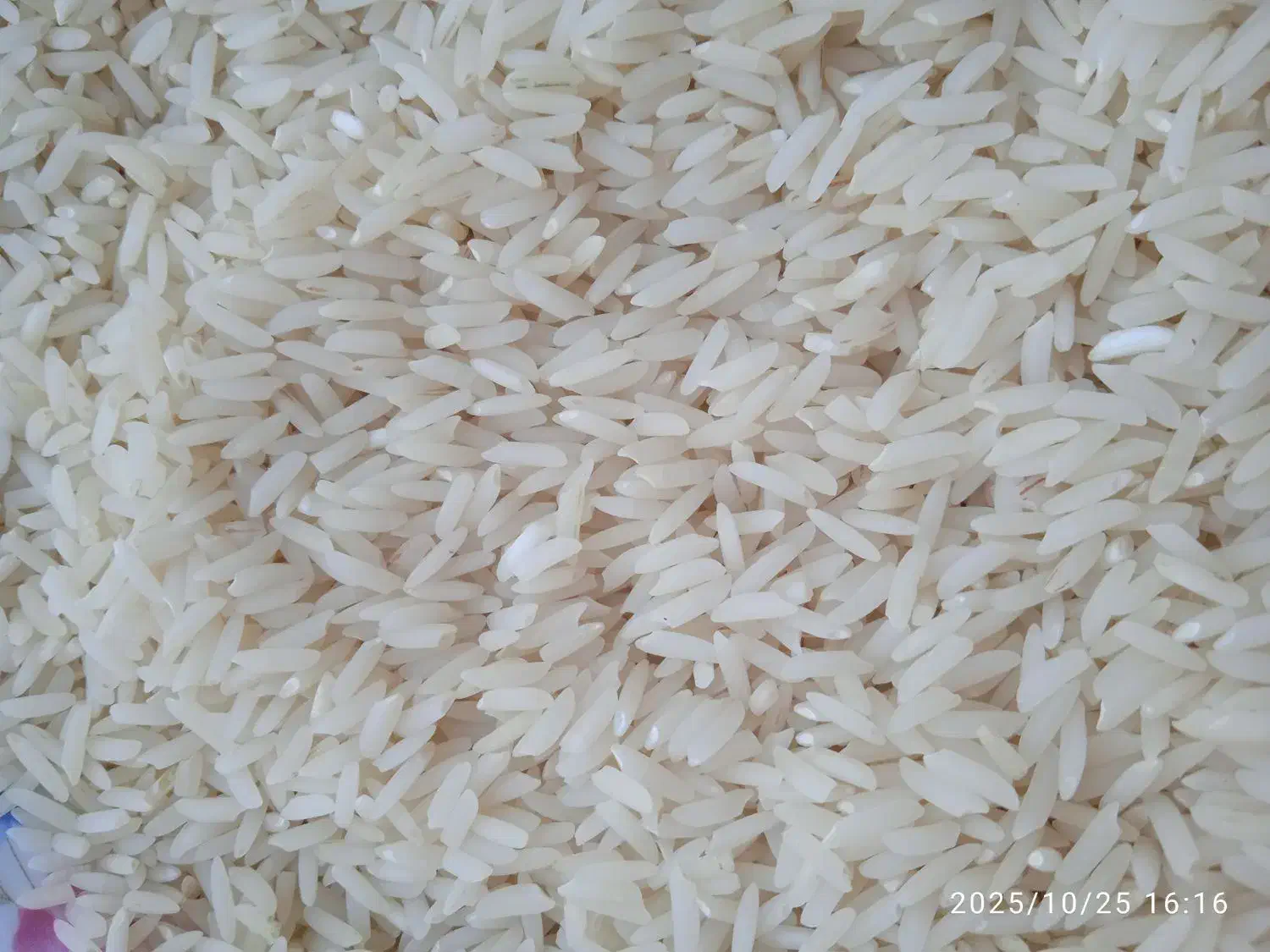 فروش برنج هاشمی اصل|خوردنی و آشامیدنی|پارسآباد, |دیوار