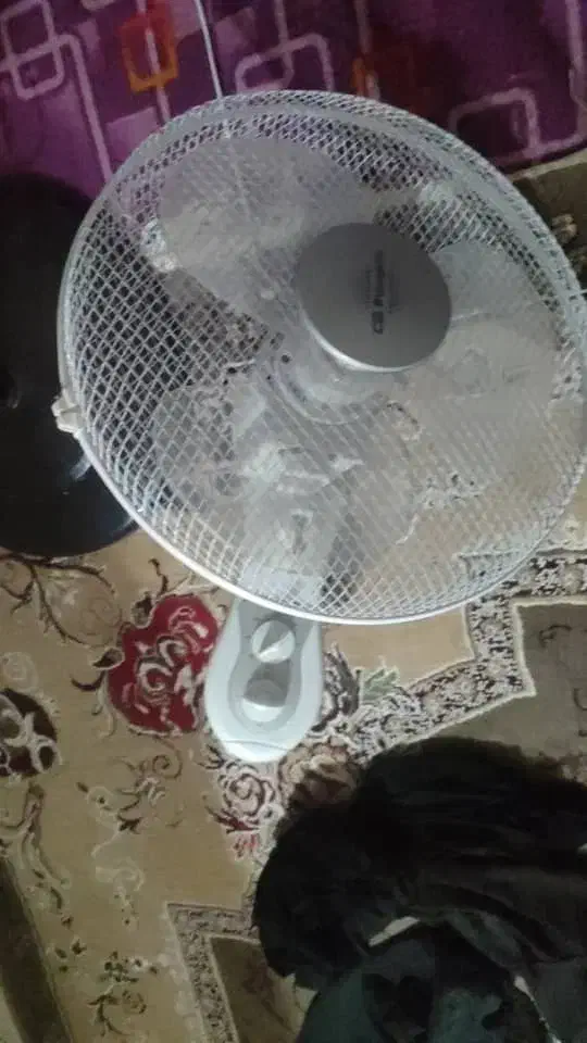 پنکه|پنکه و تصفیه‌کنندهٔ هوا|بندر کنگان, |دیوار