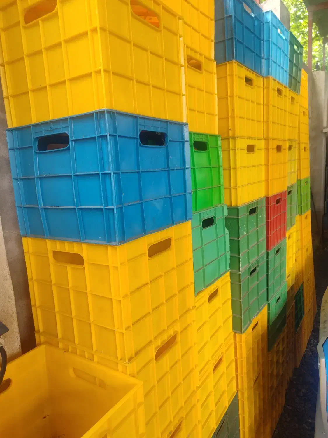 سبد حمل لبنیات وغیره|ظروف نگهدارنده، پلاستیکی، یکبارمصرف|رشت, یخسازی|دیوار