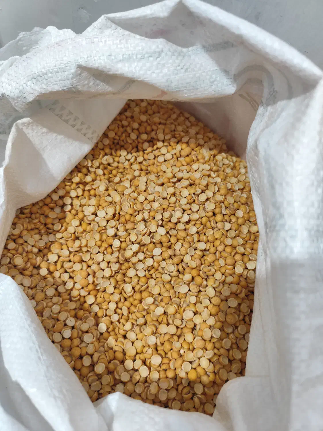 حبوبات|حراج|شیراز, لب آب|دیوار