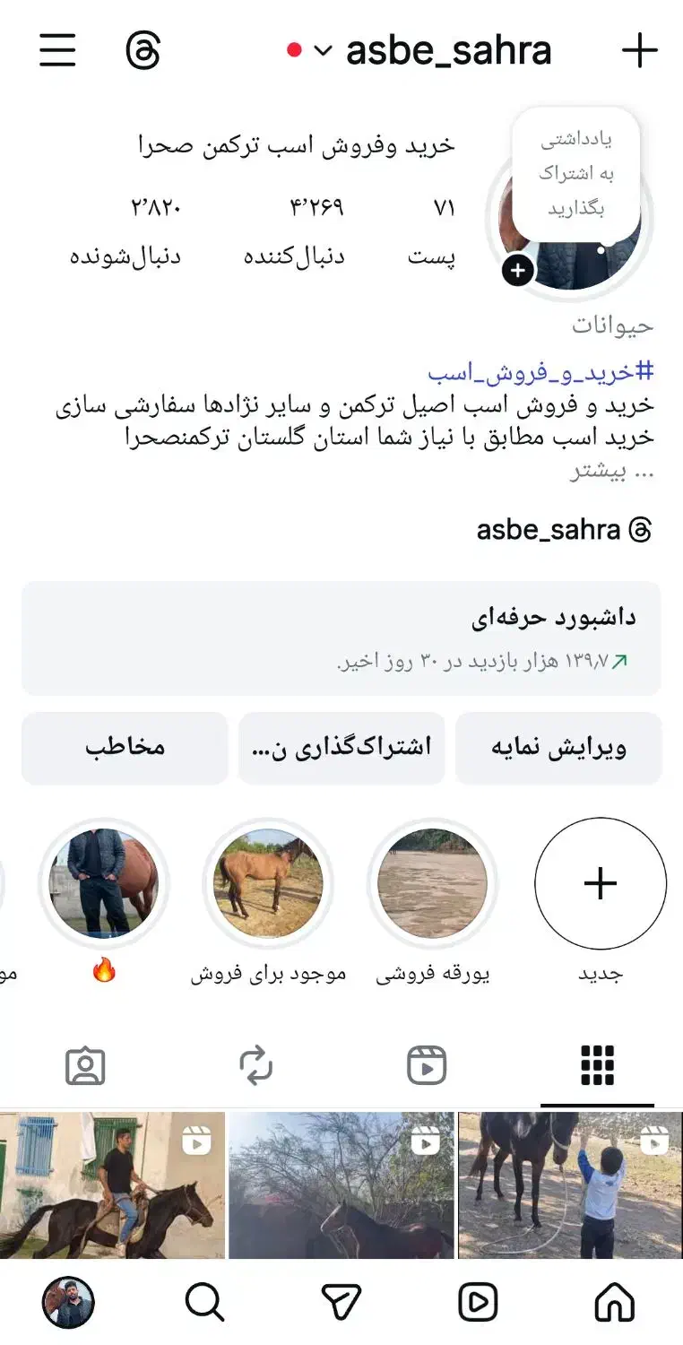 خرید فروش اسب صحرا|اسب و تجهیزات اسبسواری|کردکوی, |دیوار