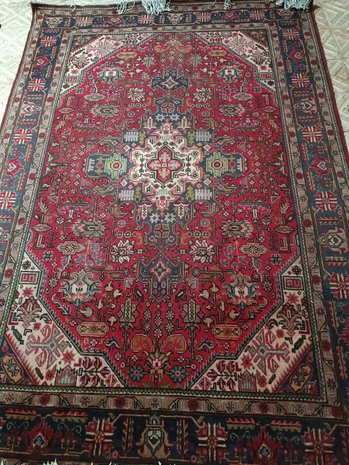 فرش6متری|فرش|ایواوغلی, |دیوار