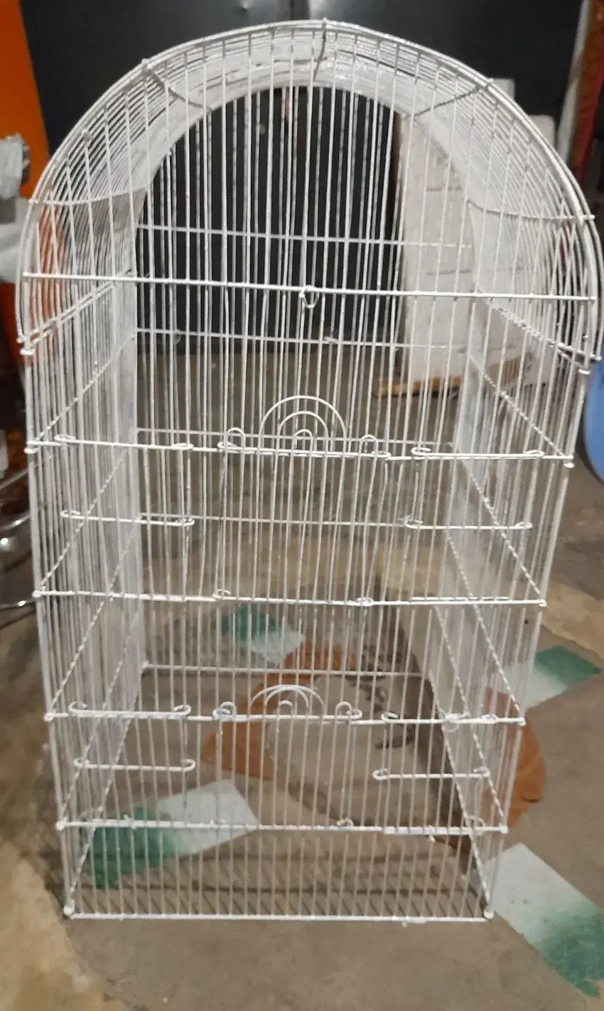 قفس بزرگ|پرنده|رشت, ولکس|دیوار