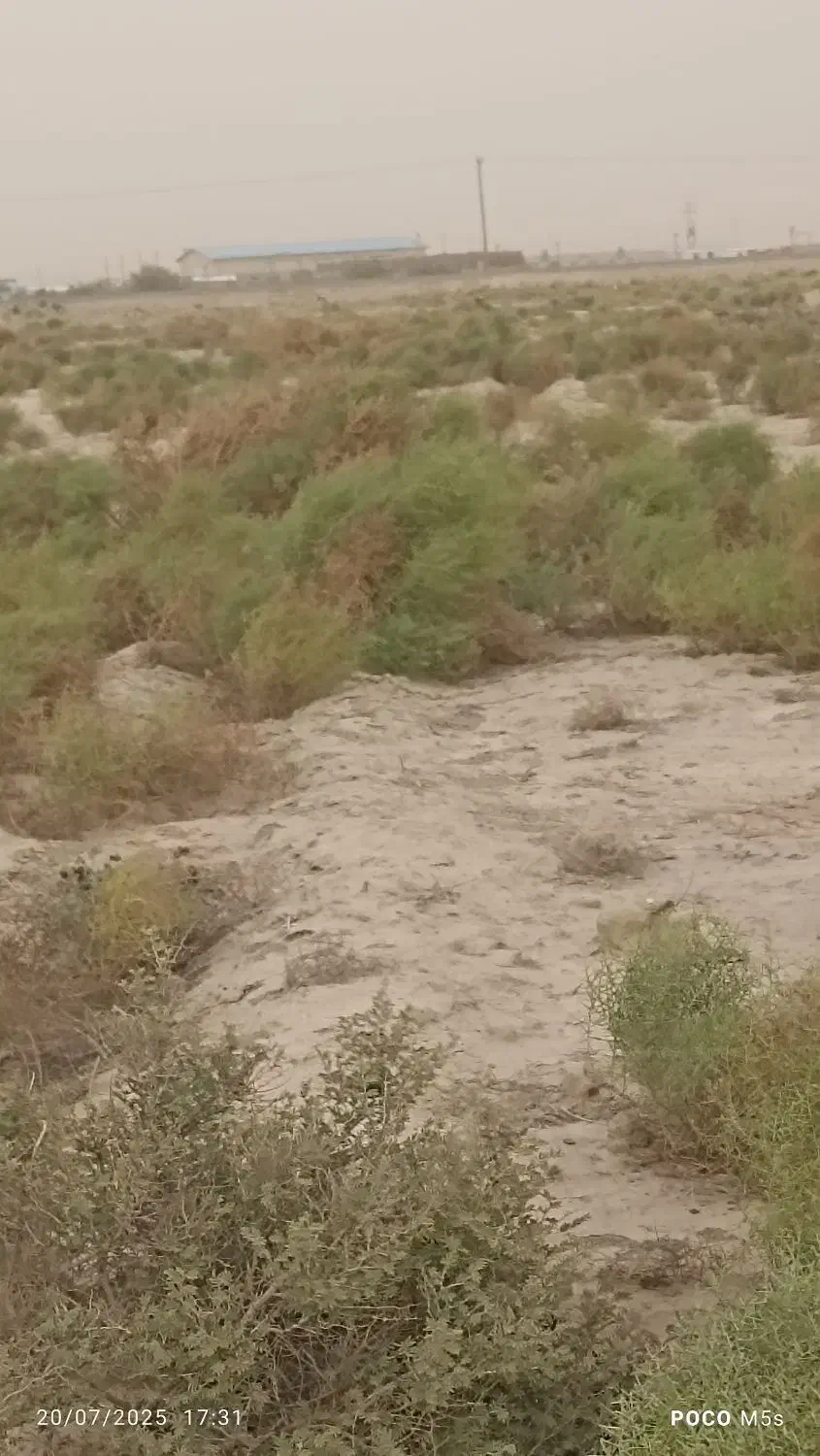 زمین کشاورزی|فروش دفتر صنعتی، کشاورزی، تجاری|زهک, |دیوار