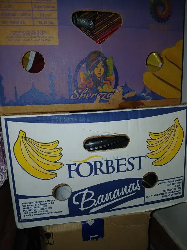 کارتون پیدا شده|اشیا|کردکوی, |دیوار