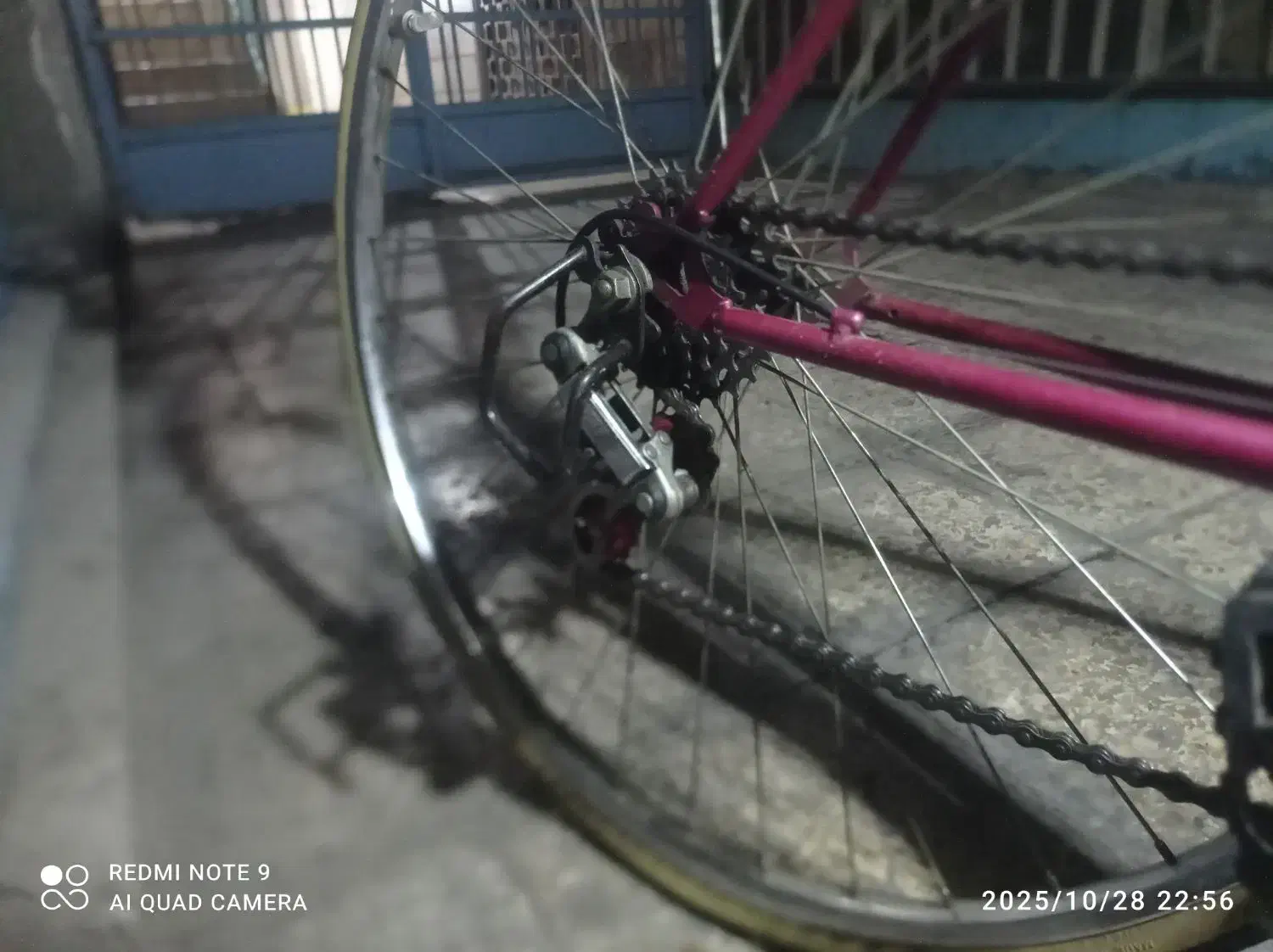 دوچرخه کورسی پژو (کلکسیونی)|دوچرخه، اسکیت، اسکوتر|تهران, کوثر|دیوار