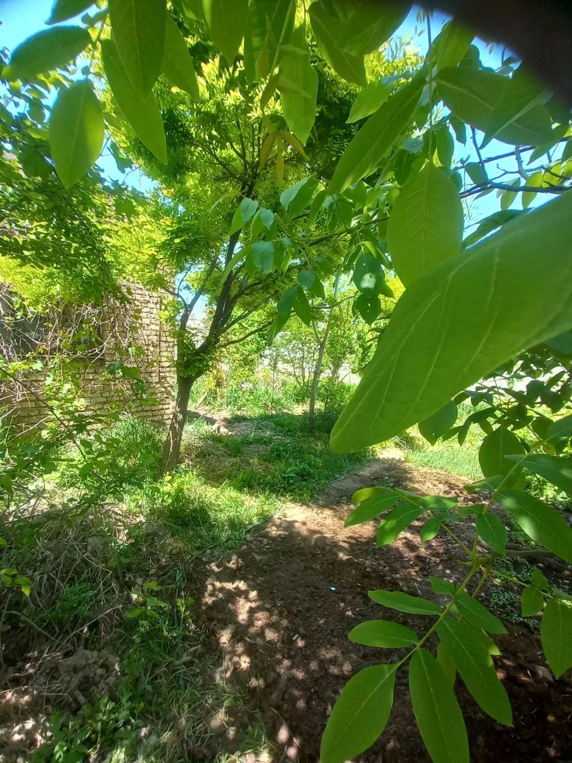تصویر 4