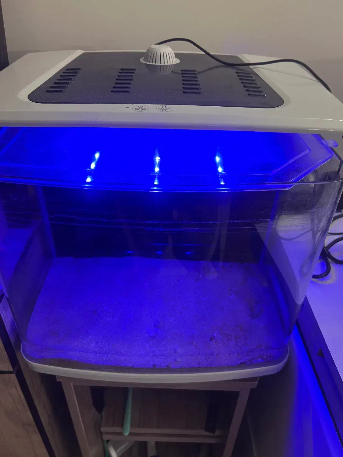 شیشه آکواریوم خانگی لوکس|ماهی|کیش, |دیوار