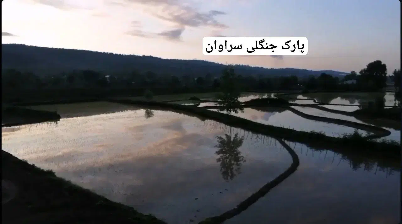 اجاره سوییت،دوهزار متر باغ و ویلا150متری|اجارهٔ کوتاه‌مدت آپارتمان و سوئیت|سنگر, |دیوار