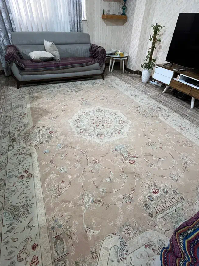 فرش|فرش|رشت, کوی جام جم|دیوار