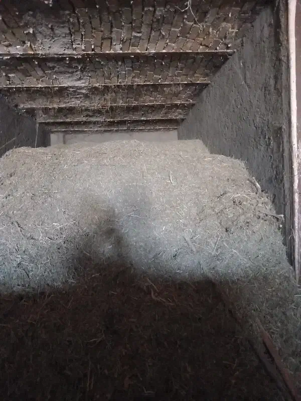 یونجه|عمده‌فروشی|ملایر, |دیوار