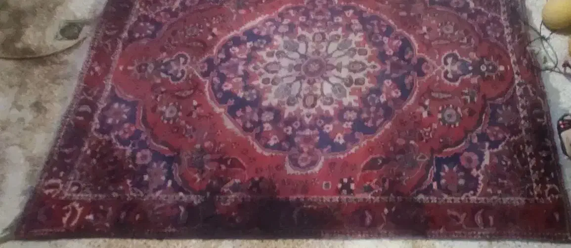 قالی محلی دست دوم|فرش|مسجد سلیمان, |دیوار