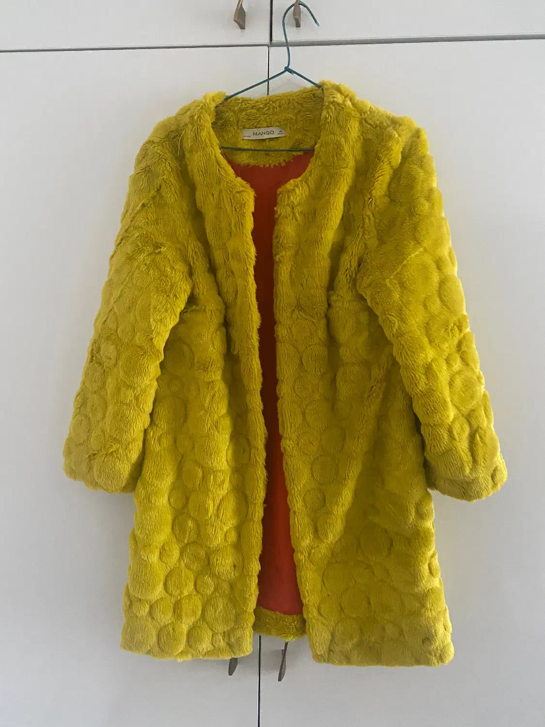 کت خز|لباس|رشت, فلسطین|دیوار