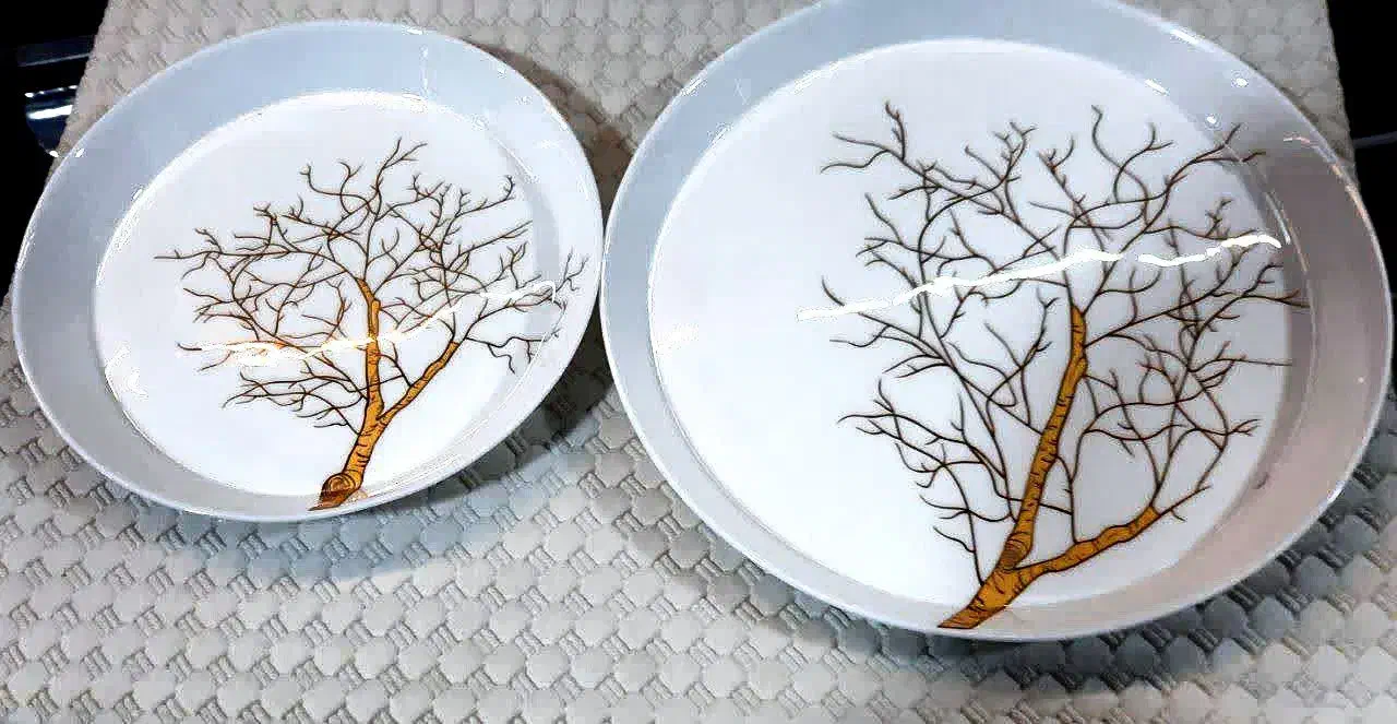 سرویس چینی و آرکوپال|ظروف سرو و پذیرایی|قم, باغ شریفی|دیوار