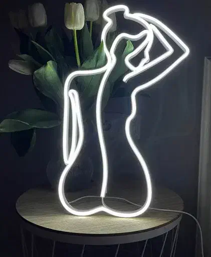 تابلو نئونی فانتزی پلکسی تایوانی + آداپتور|ریسه و چراغ تزئینی|لنجان, |دیوار