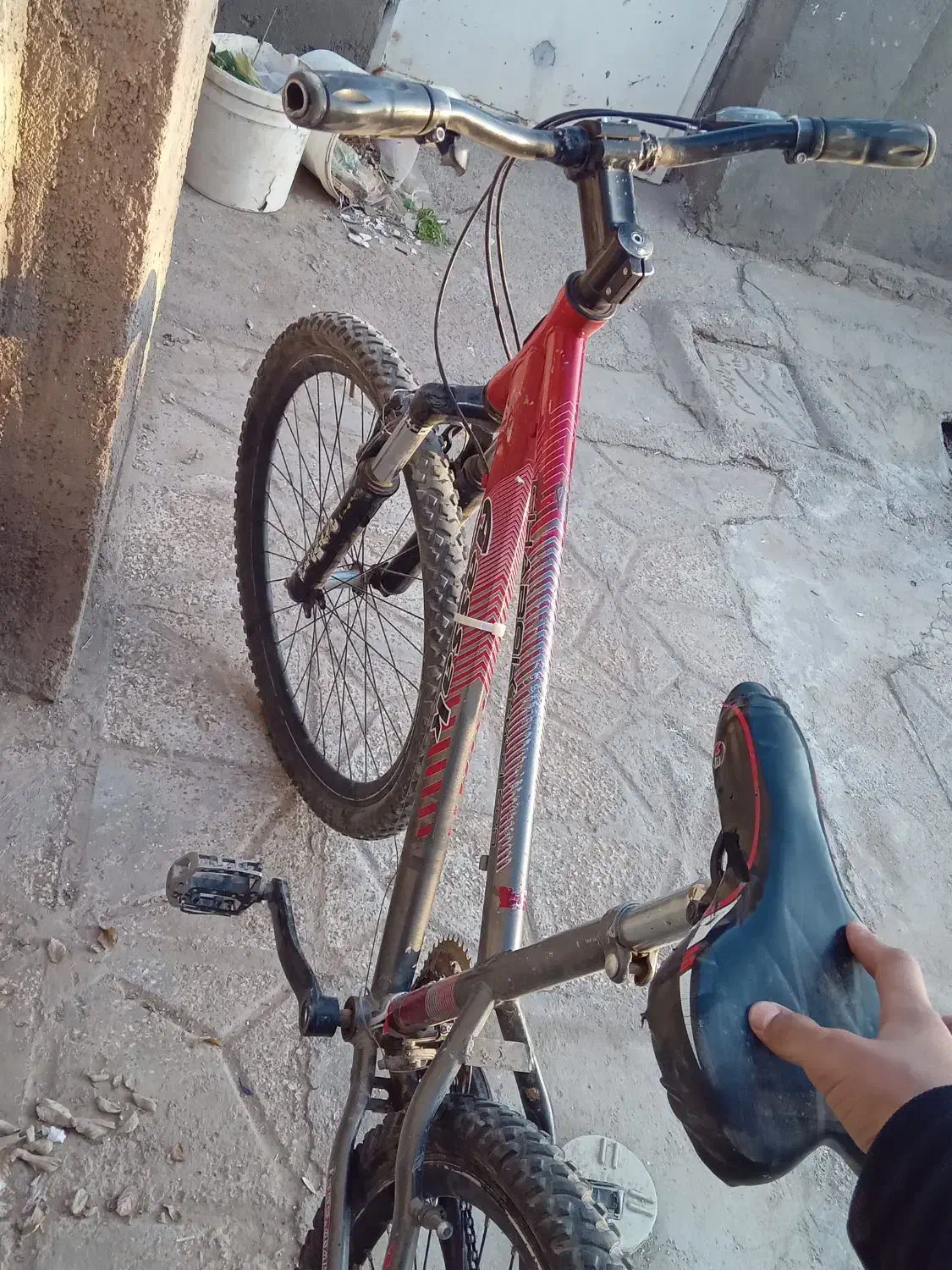 فروش دو عدد دوچرخه|دوچرخه، اسکیت، اسکوتر|بوژگان, |دیوار