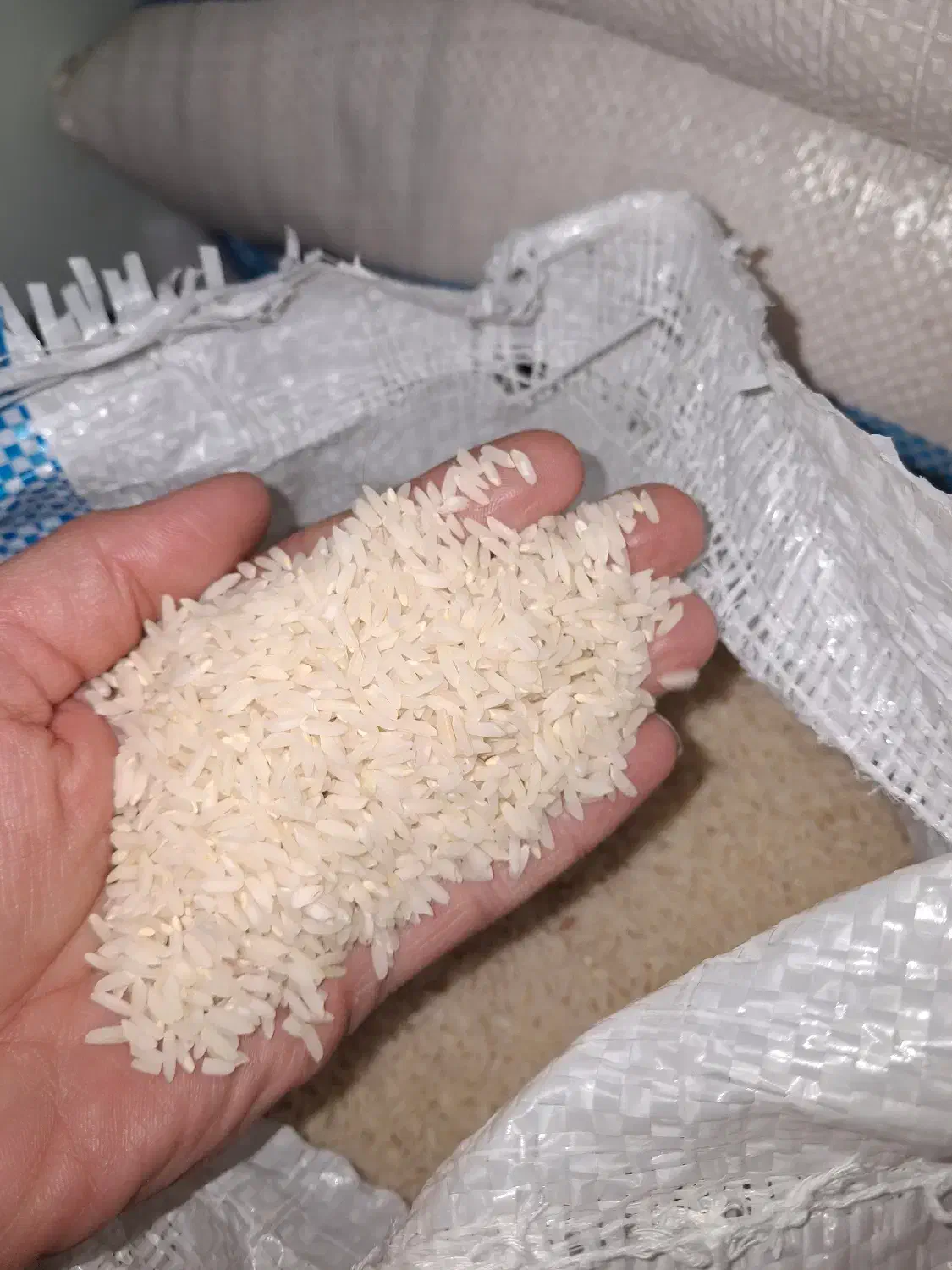 فروش برنج صدری درجه یک درود|خوردنی و آشامیدنی|مهاجران, |دیوار