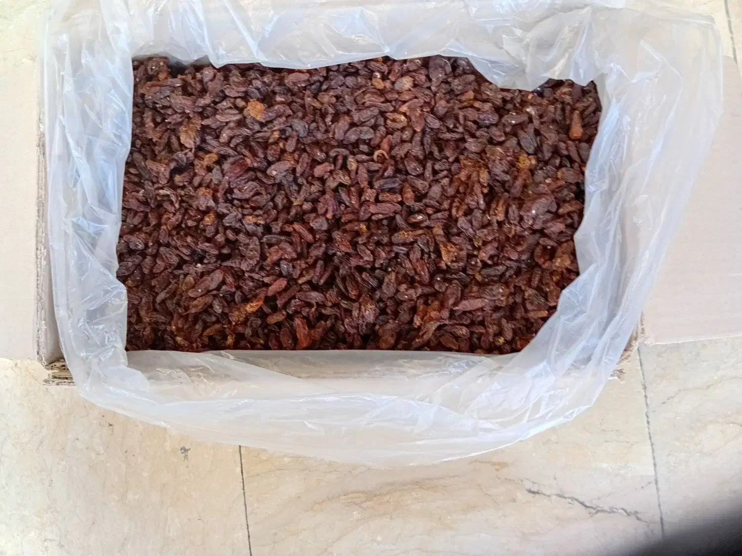 کشمش|خوردنی و آشامیدنی|اندیشه, اندیشه فاز ۱|دیوار