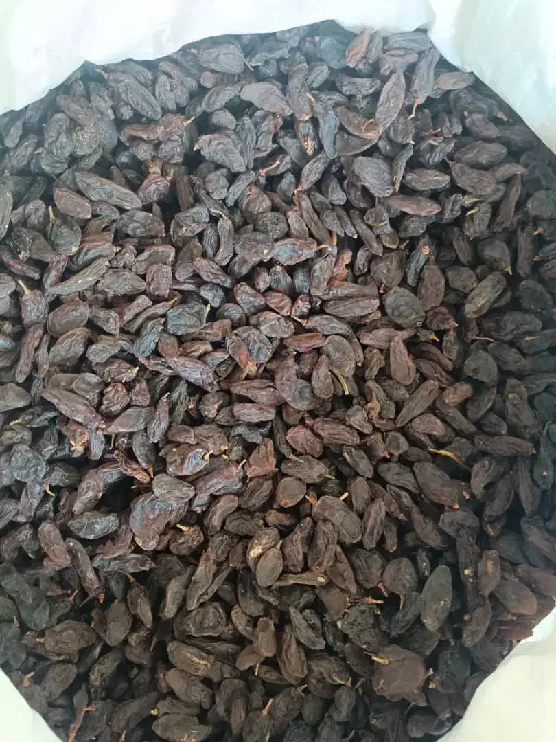 کشمش مویز|خوردنی و آشامیدنی|شیراز, میانرود|دیوار