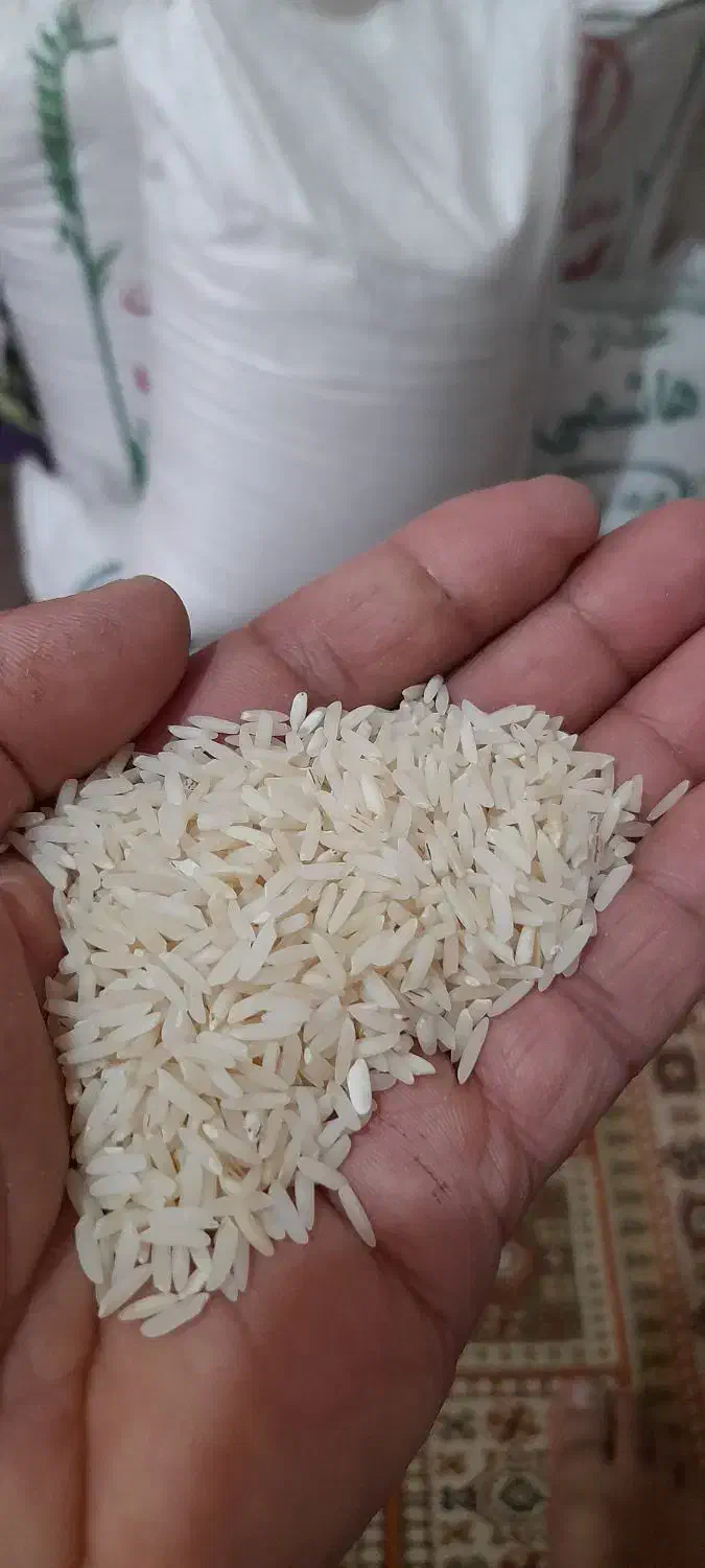 برنج طارم  هاشمی ...ودمسیاه|خوردنی و آشامیدنی|تهران, شهرک زینبیه|دیوار