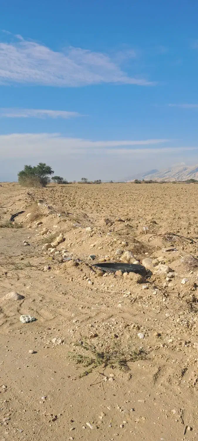 فروش زمین باغی 7000متر|فروش دفتر صنعتی، کشاورزی، تجاری|بندر دیر, |دیوار