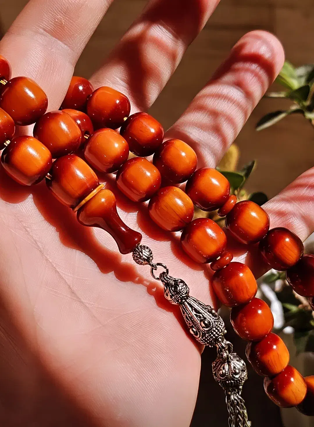 کهربا کلکسیونی|جواهرات|شیراز, گلشن|دیوار