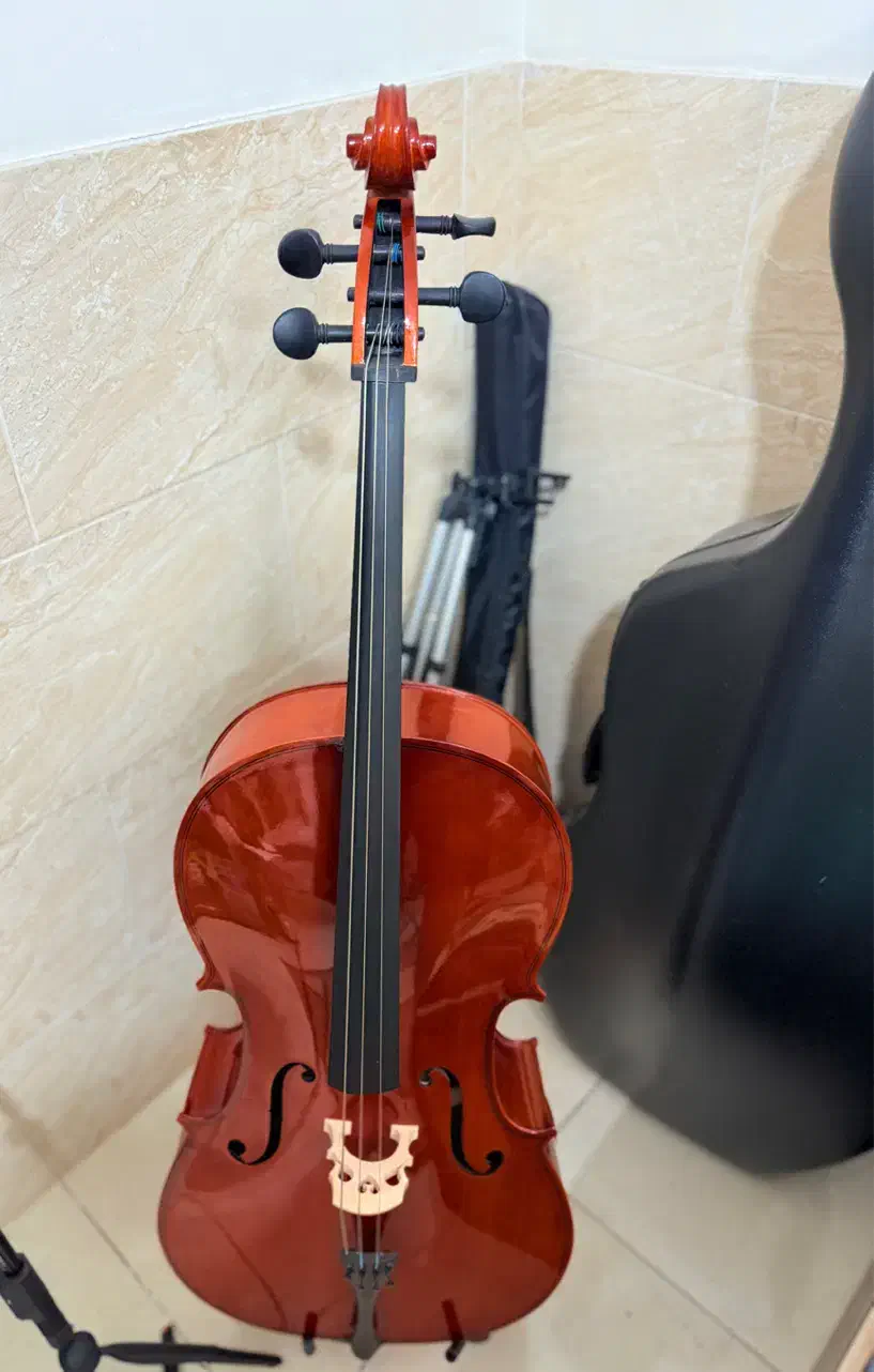 ویولنسل / ویولن سل ROMANC|ویولن|اصفهان, ملک‌شهر|دیوار