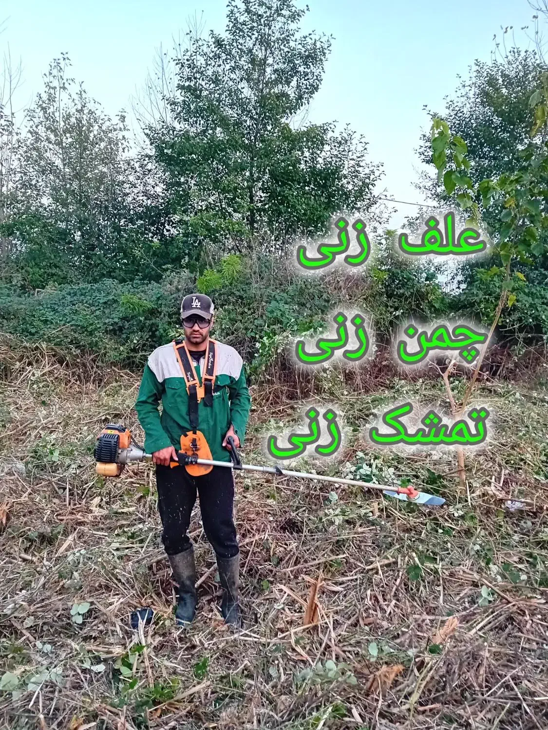 خدمات باغی چمن زنی علف زنی تمیز کردن علف هرز تمشک|خدمات باغبانی و درختکاری|رشت, یخسازی|دیوار